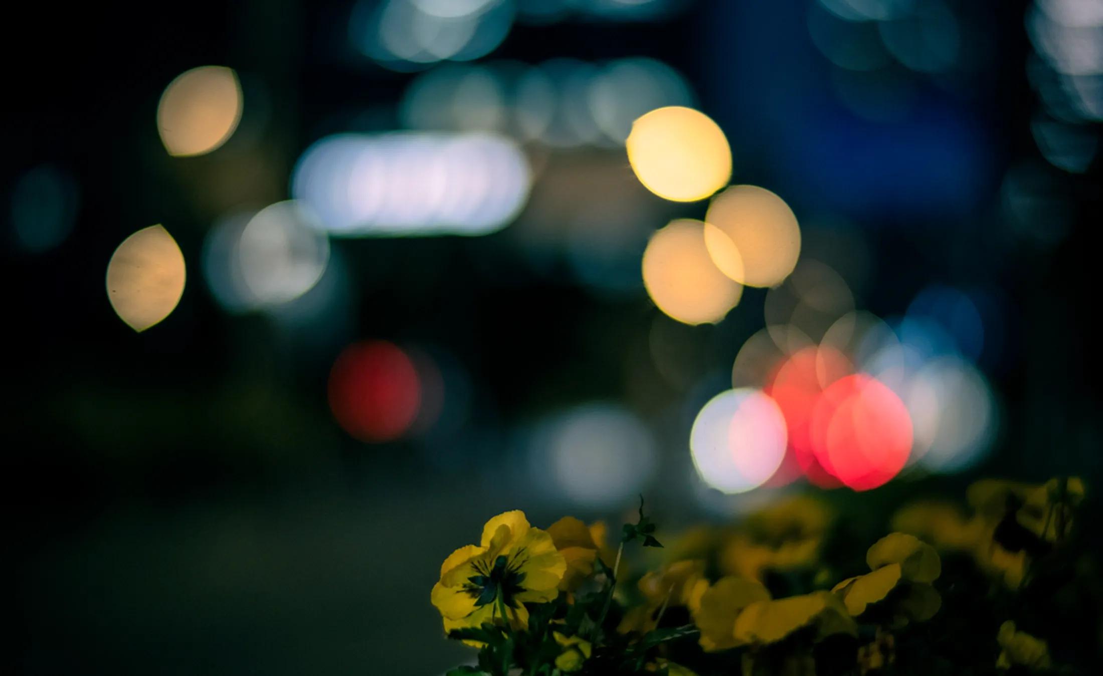 星曜50mmf0.95全画幅夜神,铭匠夜神50mmf0.95