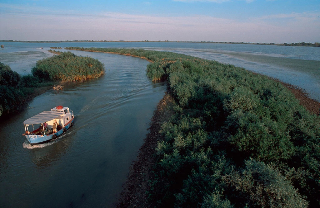 你不知道的国家冷知识玻利维亚篇,你不知道的国家冷知识摩洛哥