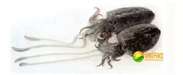 舟山海鲜攻略2天1晚住宿自由行,舟山最好的海鲜