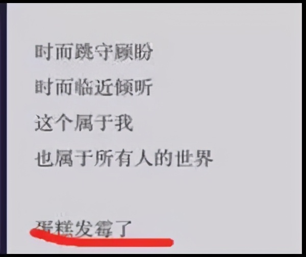 金秀贤李菲儿绯闻是真的吗,李菲儿历任男友