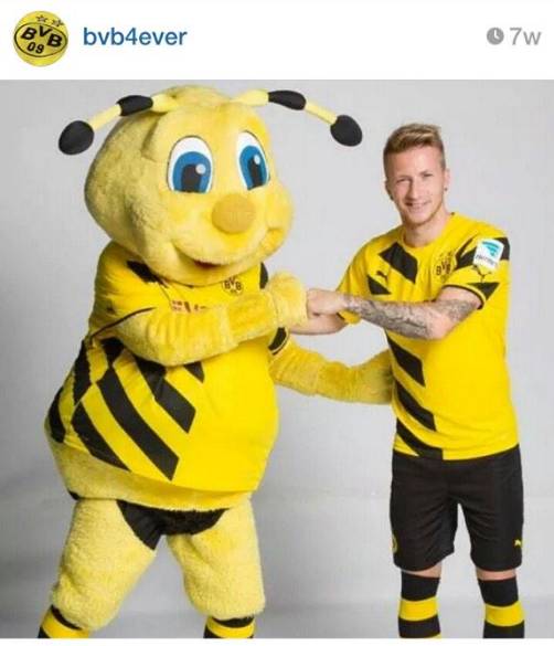 足坛伪球迷指南奥地利,多特球迷入坑