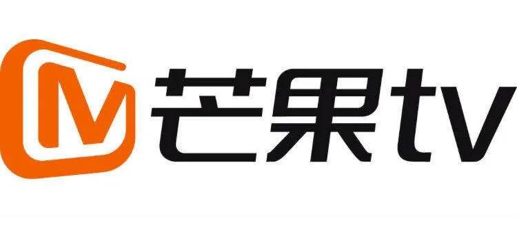 视频网站发展历史,视频网站战争史