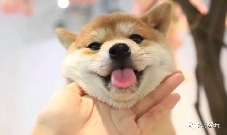 北京主题星空餐厅哪里的好,北京太空舱主题餐厅