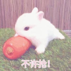 天猫卖假货案例,天猫涉嫌出售劣质商品下架