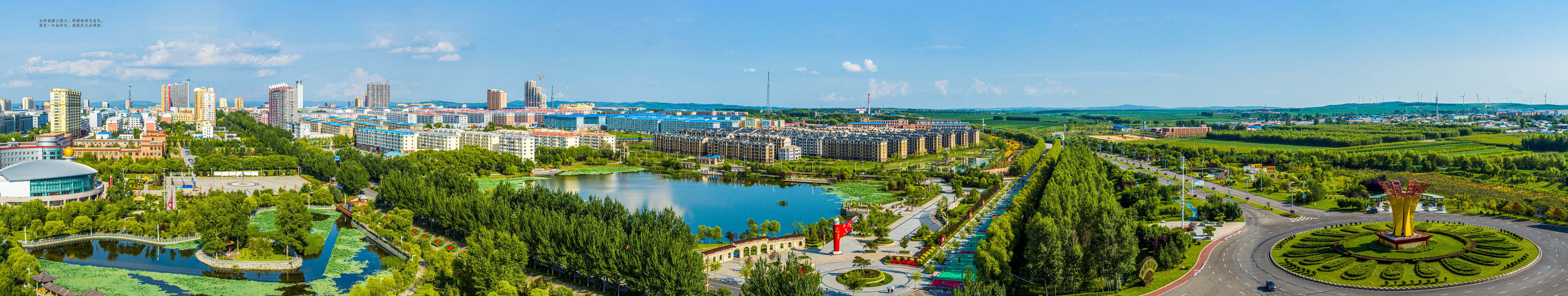 桦南紫苏种植基地在哪里,华南紫苏之乡