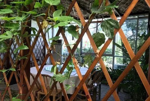 上海周边农家乐旅游推荐,上海周边独栋民宿农家乐推荐