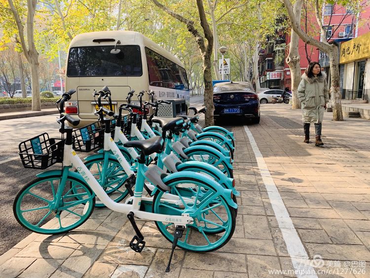 涧西牡丹广场老照片,洛阳牡丹手机拍照