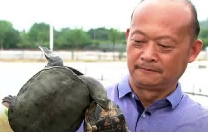 养甲鱼姚志刚,致富经姚志刚甲鱼