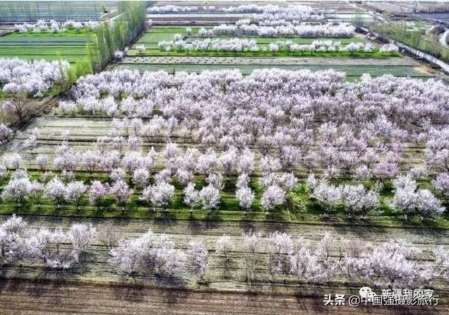 又一封辞职信火了，*疆新**人已传疯