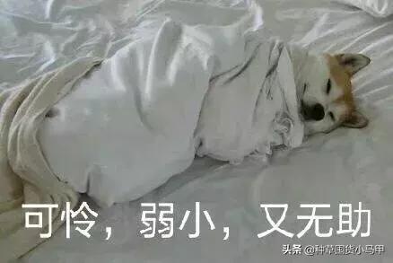 关于天猫卖假货的新闻,天猫卖假货有多严重