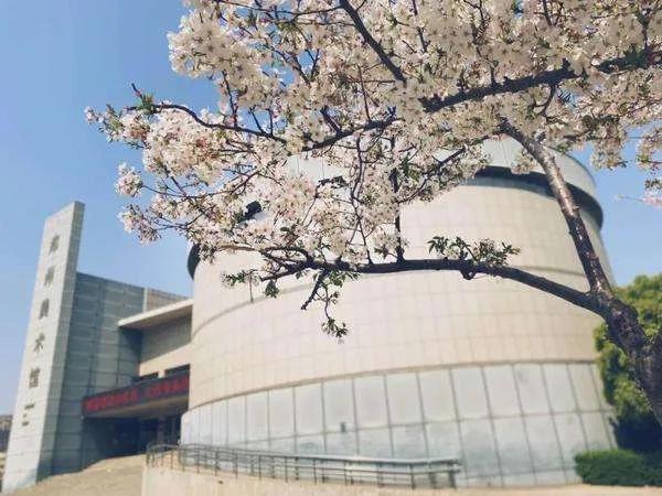 郑州暂停开放全市旅游景区,郑州正在建设的旅游景区