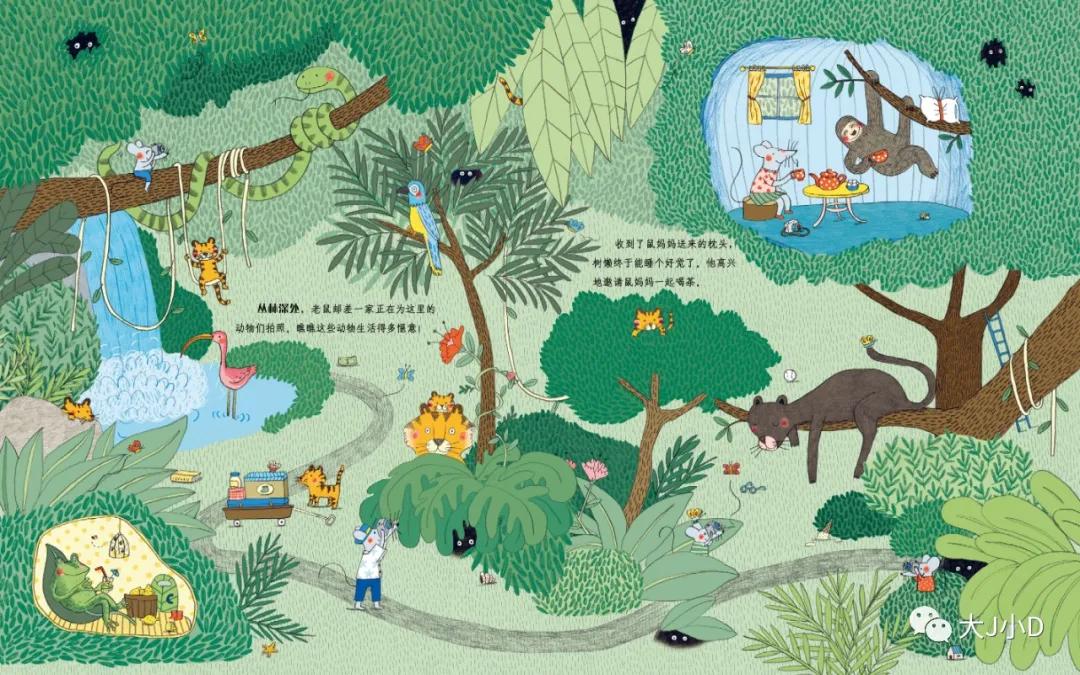 大班经典绘本推荐,国际获奖幼儿经典绘本推荐