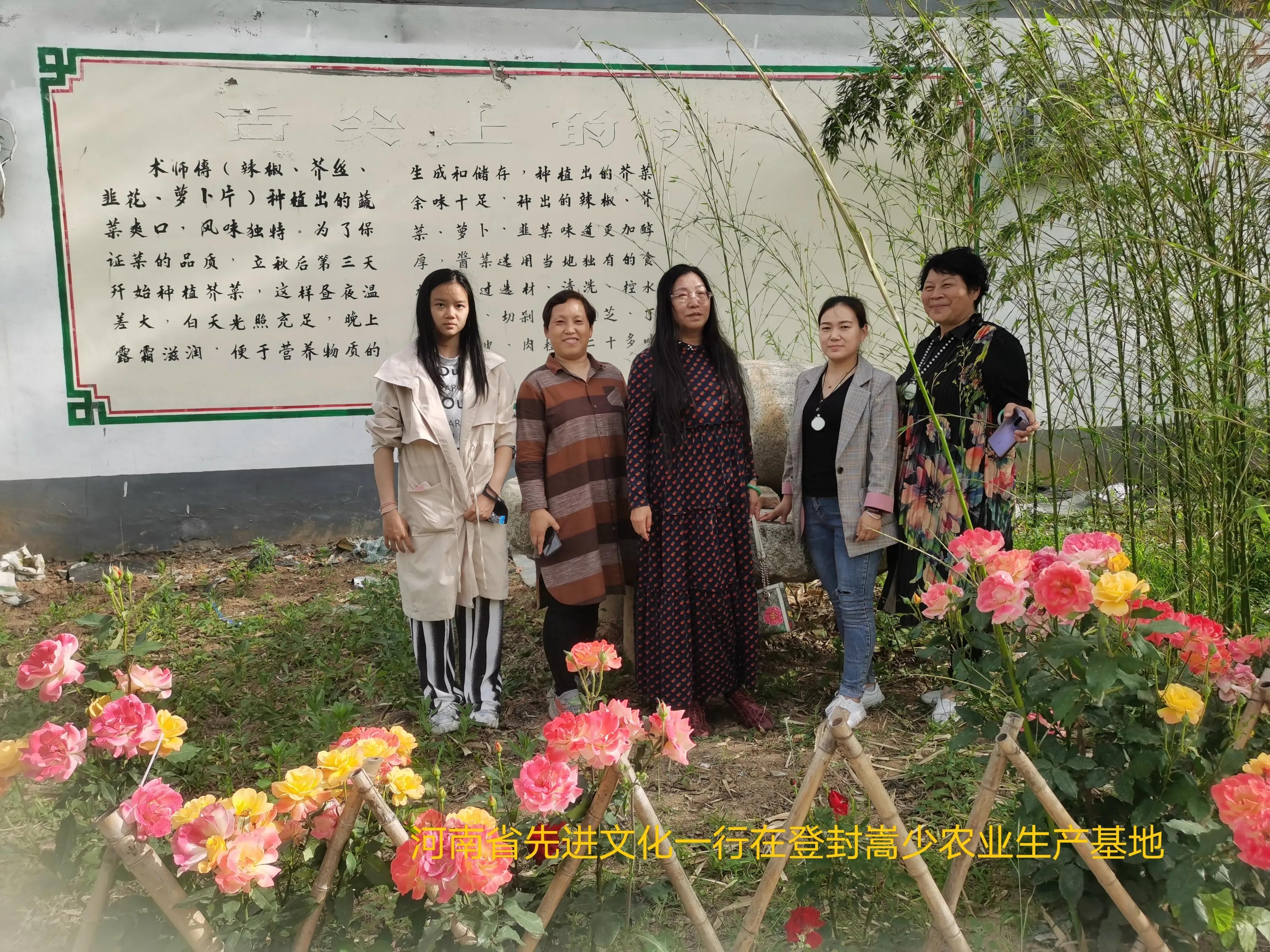 朝阳沟的时代特点,朝阳沟是一代人的回忆