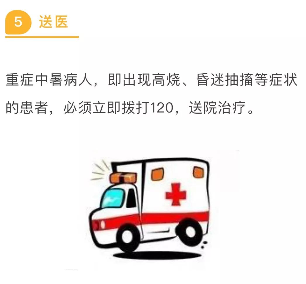 弗兰人是谁,弗兰人的含义是什么