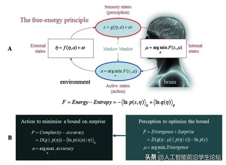 生物，AI，心理：目前的大脑/认知/意识/AGI/DRL模型
