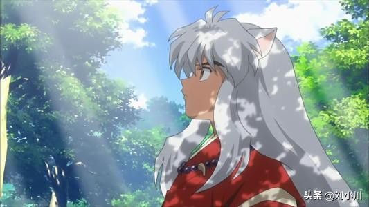 戈薇一直受伤最后死去,戈薇为什么离开三年