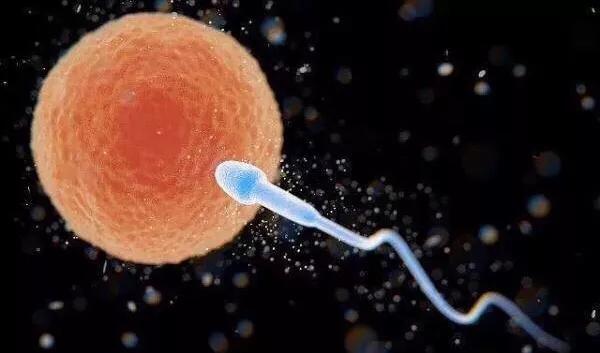 套套的副作用有多少,为了爱的人快来看看吧