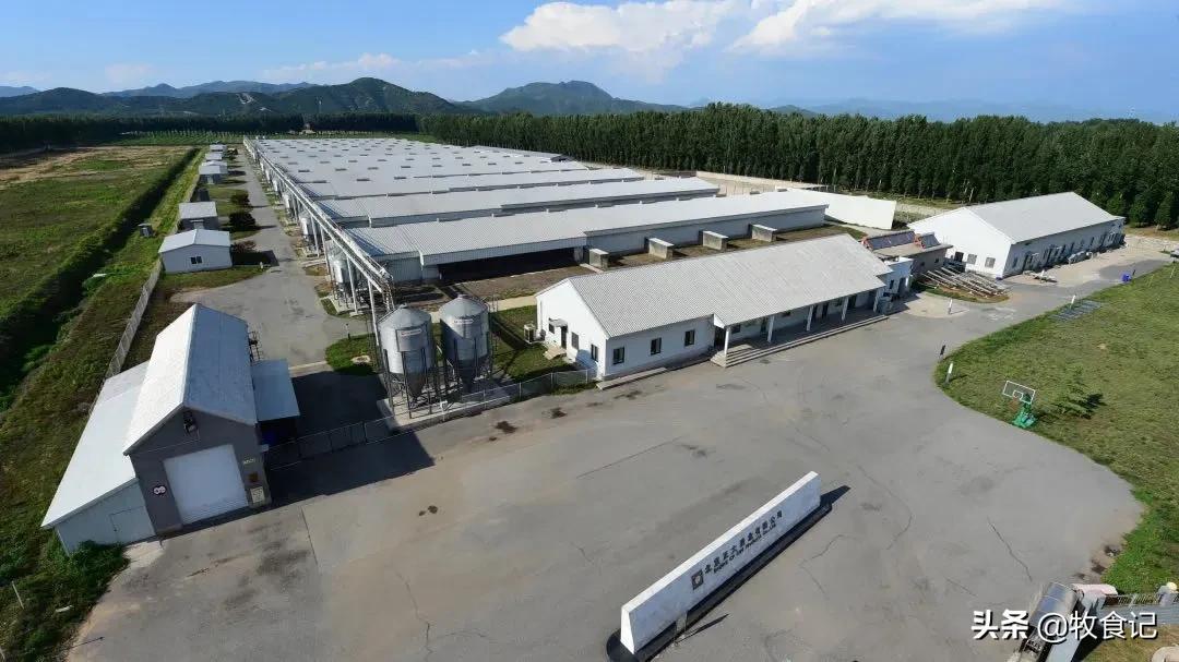 正大农牧食品及零售,正大农牧有限公司分布