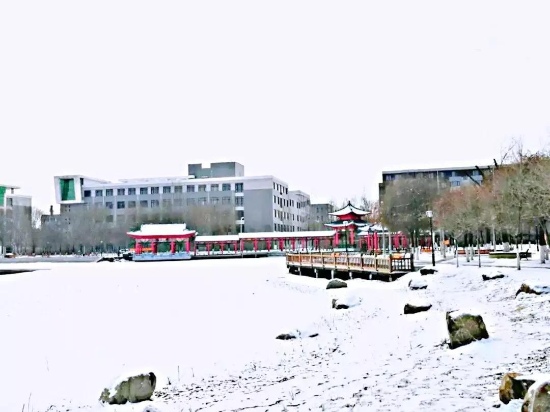 辽宁中医药大学杏林学院有独卫吗,辽宁中医药大学杏林学院属于3+2吗