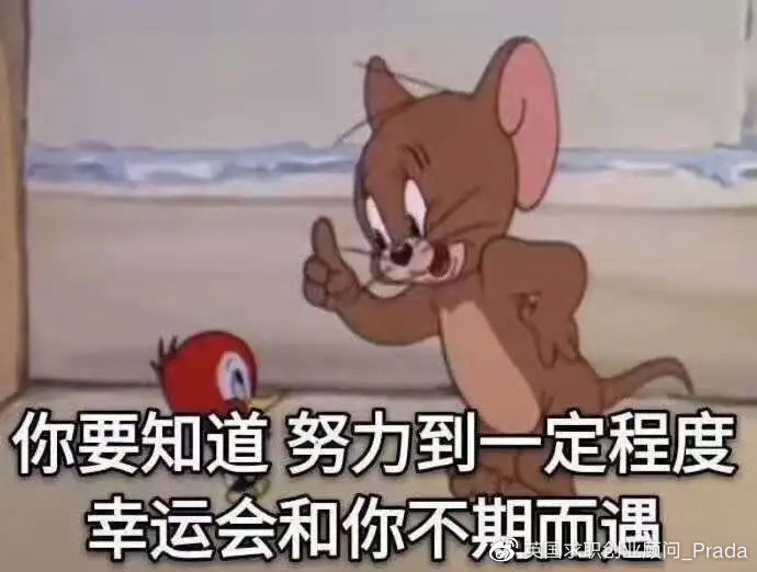 kpmg锦鲤怎么样,kpl锦鲤