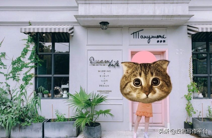 100元/篇|「朝露轻食指南」公众号长期征稿(急需稿件)