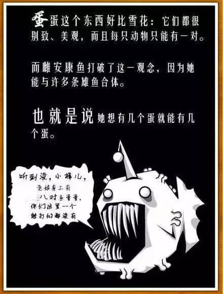 公鸡没有丁丁，蜗牛一起射精。带你科普大自然千奇百怪的交配方式