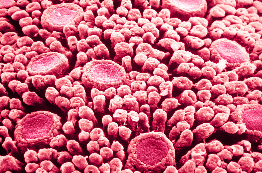 海水会喝死吗,海水为什么是咸的呢能喝吗