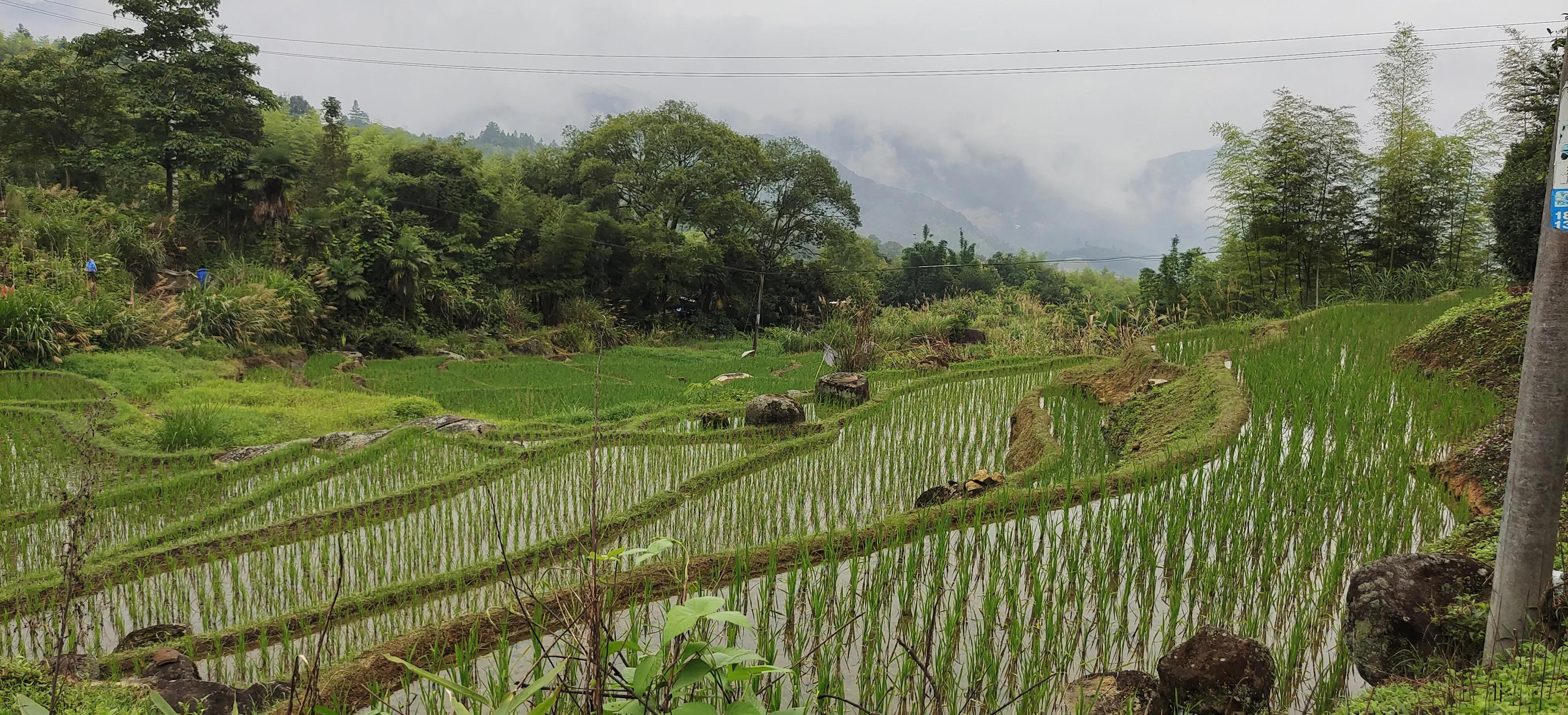 登上绝壁悬崖感受一览众山小,登上泰山之巅的感觉