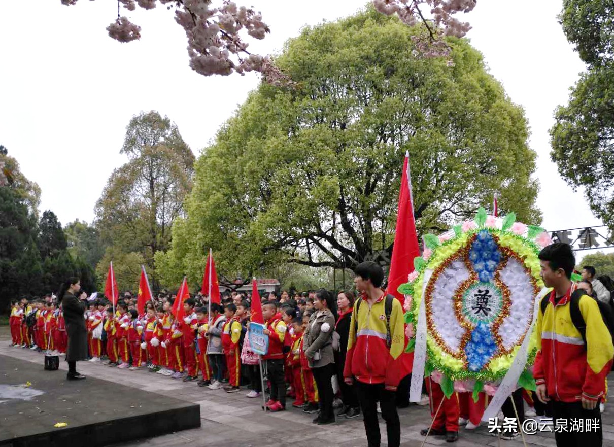 清明节扫墓纪念革命先烈学校,学校清明节缅怀先烈讲红色故事