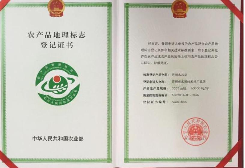 连州水晶梨节地址,连州水晶梨节视频