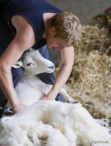 服装面料知识大全优缺点详细介绍,服装人必须懂的50种面料知识