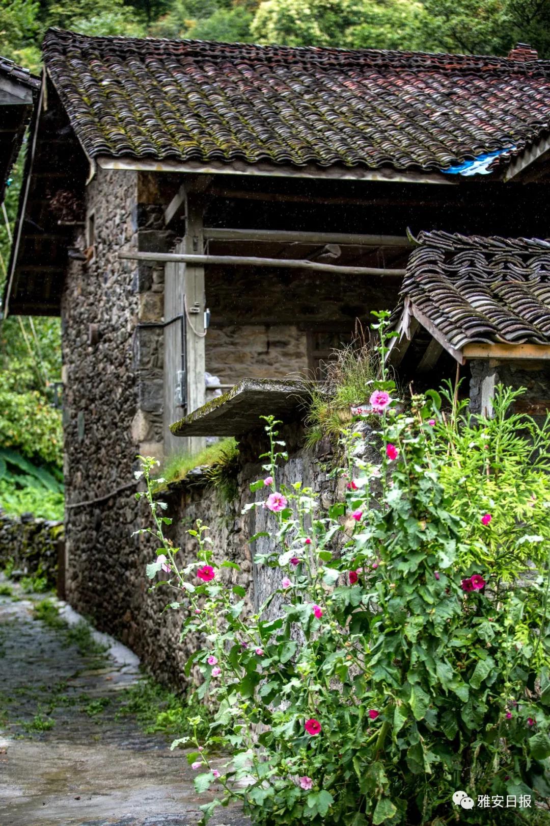 来雅安旅游,雅安二郎山休闲特色民宿