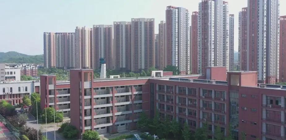 南师附中丁家庄小升初,幼升小指南对话校长