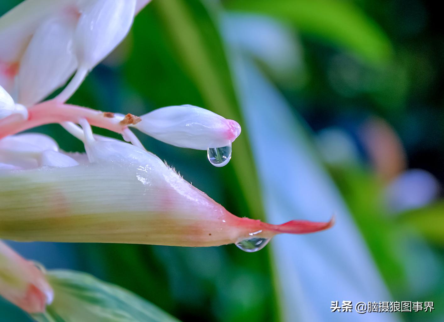 佳能550d配什么镜头拍摄效果好,佳能550d用18-55镜头怎么拍月亮