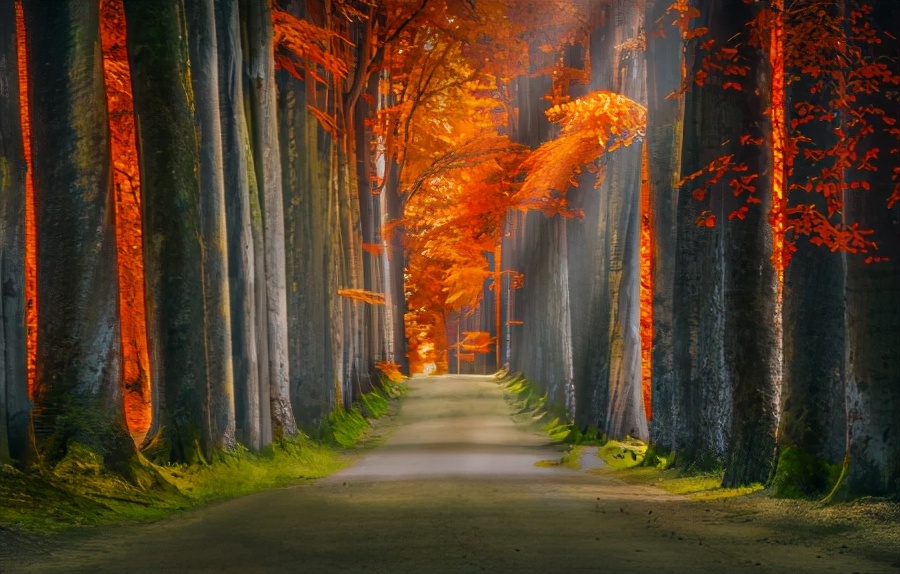 50张顶级绝美风景壁纸,绝美的海边风景图片壁纸