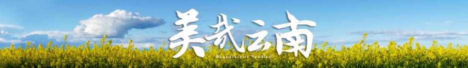 美丽云南神奇西双版纳,柔情傣乡美丽的西双版纳