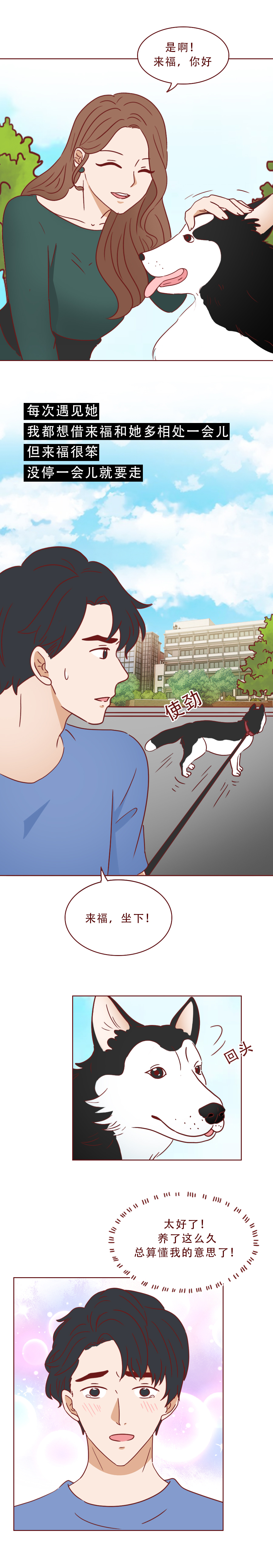 捡回来抑郁的猫,捡回一只小猫原居民抑郁了