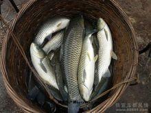 茂名市简介2019,茂名市的由来简介