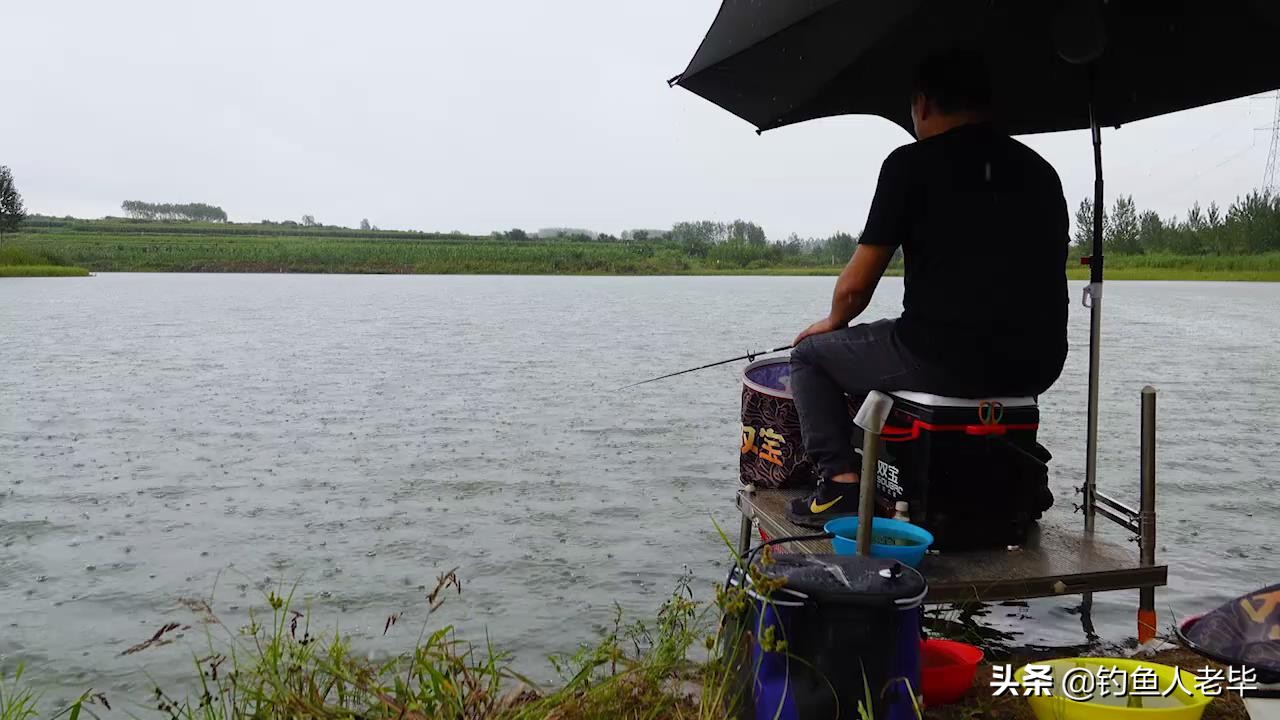 春节什么风好钓鱼,北风转南风适合钓鱼吗