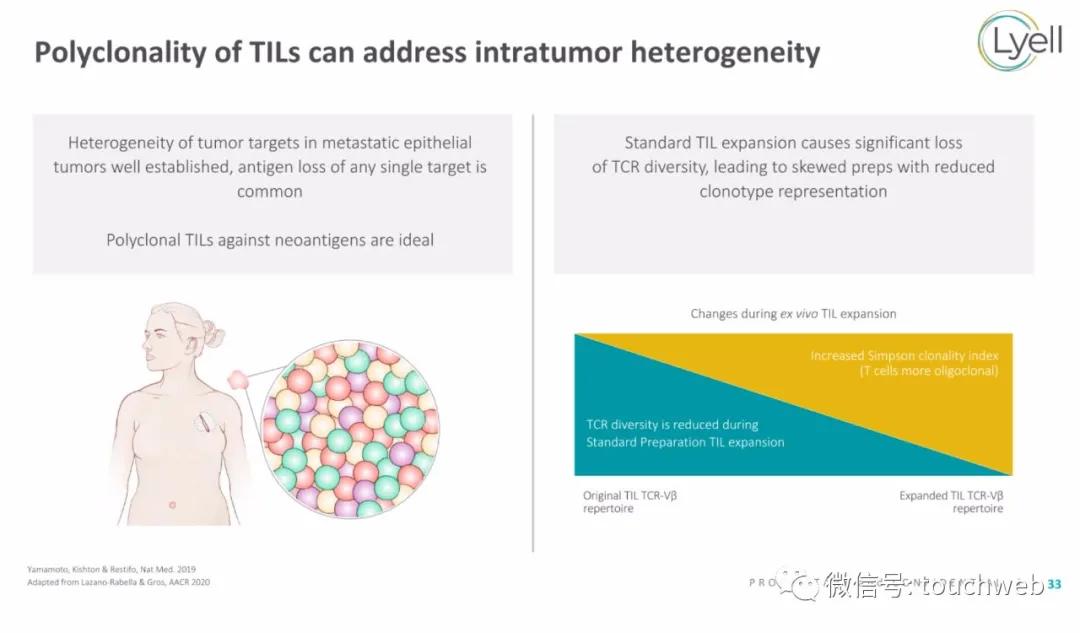 肿瘤免疫治疗公司Lyell冲刺美股：年亏2亿美元路演PPT曝光
