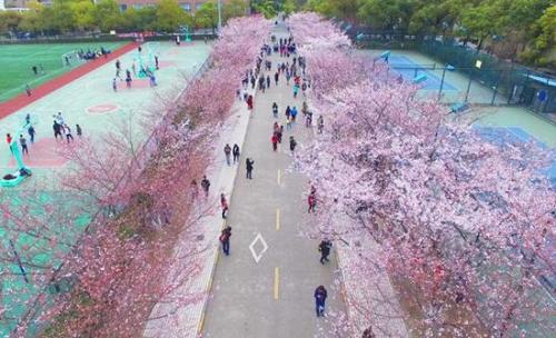 985高校之上海同济大学-国内土木最强学校