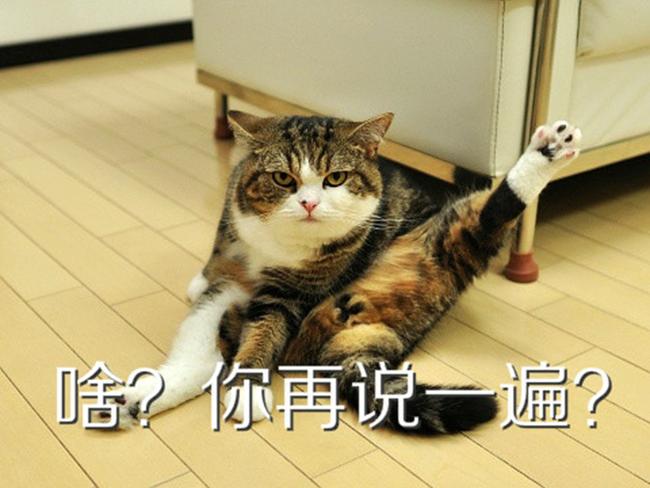 中华壮年女性！求求你们能不能别去旅游了