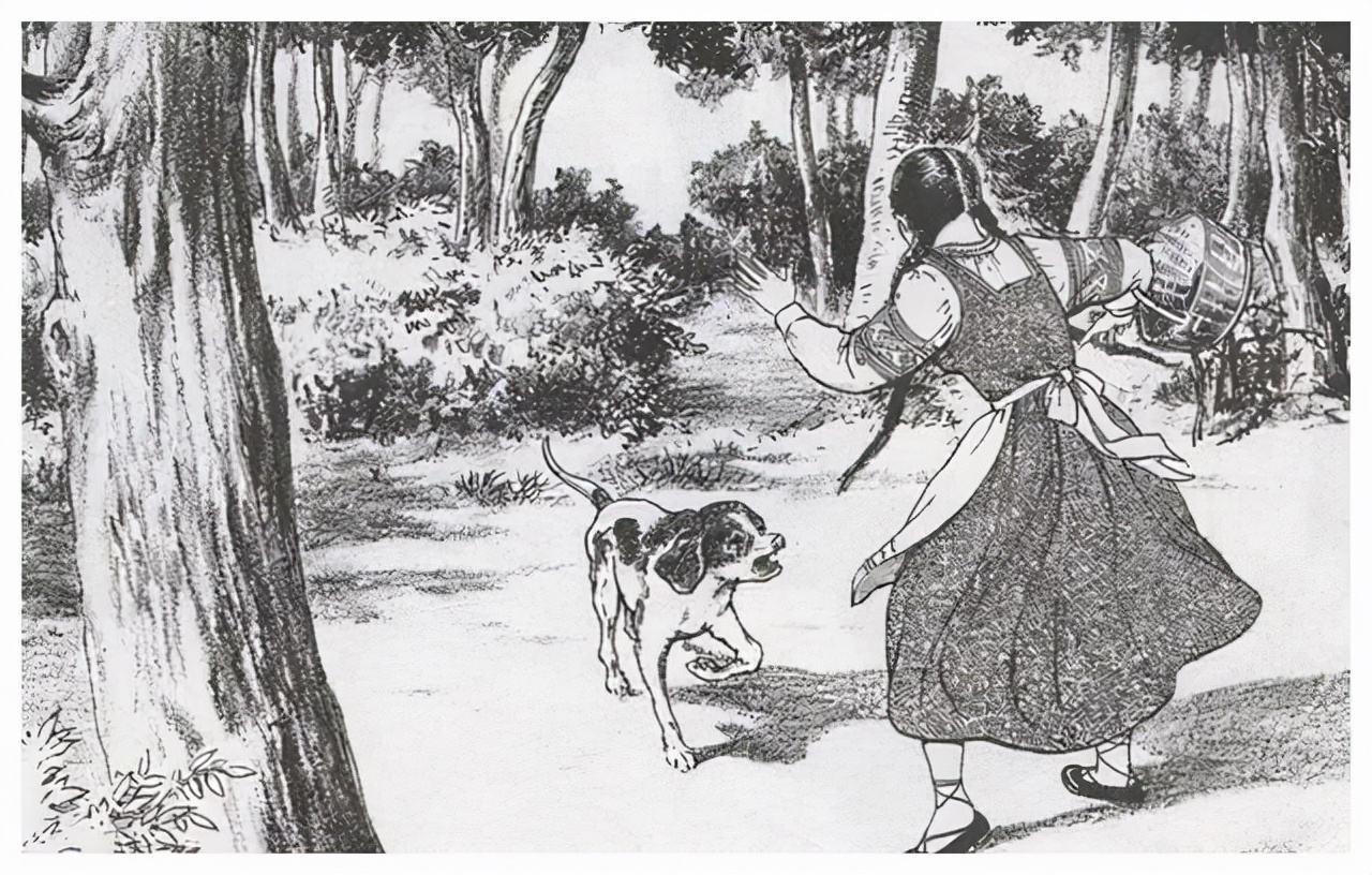 一只狗养了17年死前跟主人道别,老狗临死感人瞬间