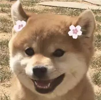 深圳与哪个城市的地铁是相通的,深圳地铁最出名的站点