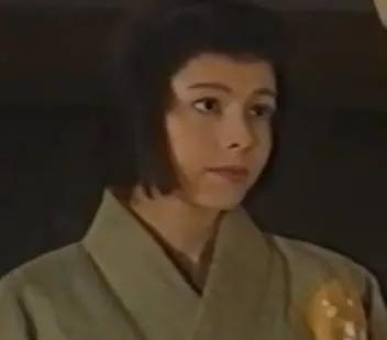 日本丰臣秀吉老婆宁宁,丰臣秀吉的谋士