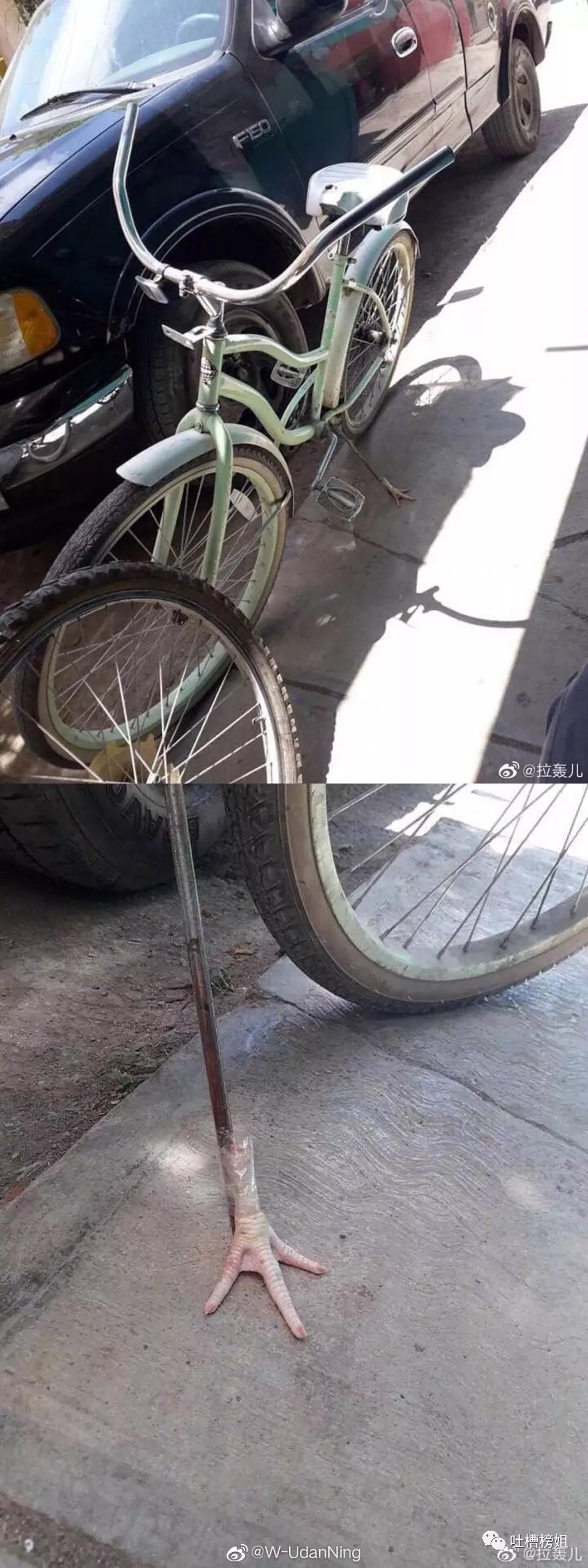 最近一张让你开心的照片,看完笑到停不下来的二十三张图