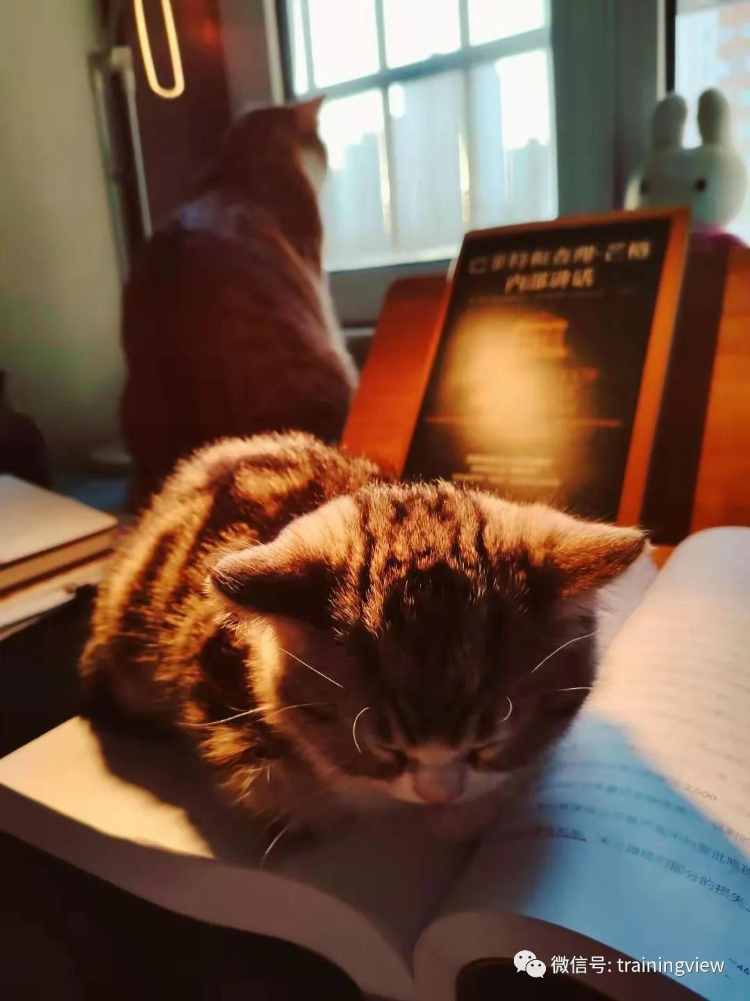 一个年轻人的离职忠告,离职半年的心路历程