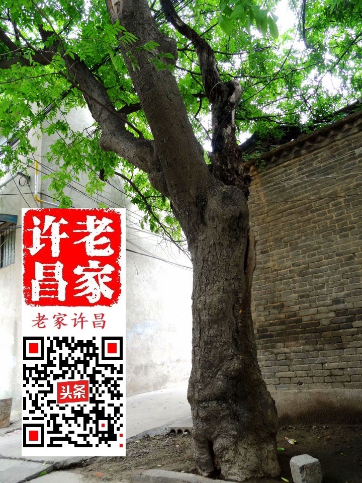 许昌南屯的来历 (许昌南屯里的历史)