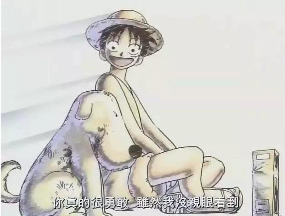 心之向往，皆在桑尼，成人眼中的《航海王》是驰而不往的梦想