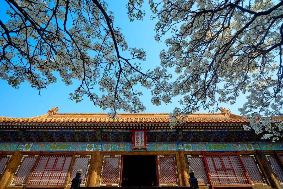 道光帝妃嫔屡遭降级之谜,道光帝后宫嫔妃简介